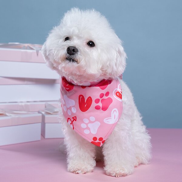 

Heart Pattern Pet Bandana, Multicolor