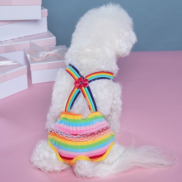

Colorful Striped Pet Sanitary Pant, Multicolor