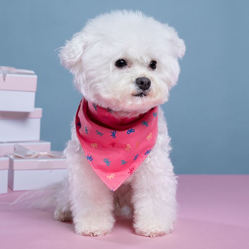 

Bow Pattern Pet Bandana, Hot pink