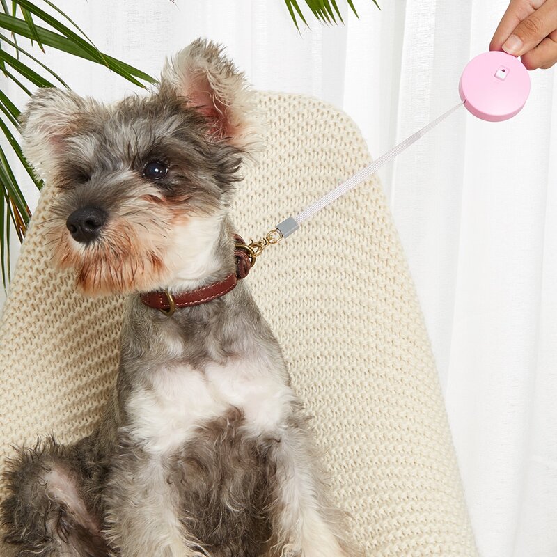 

Retractable Pet Leash, Multicolor