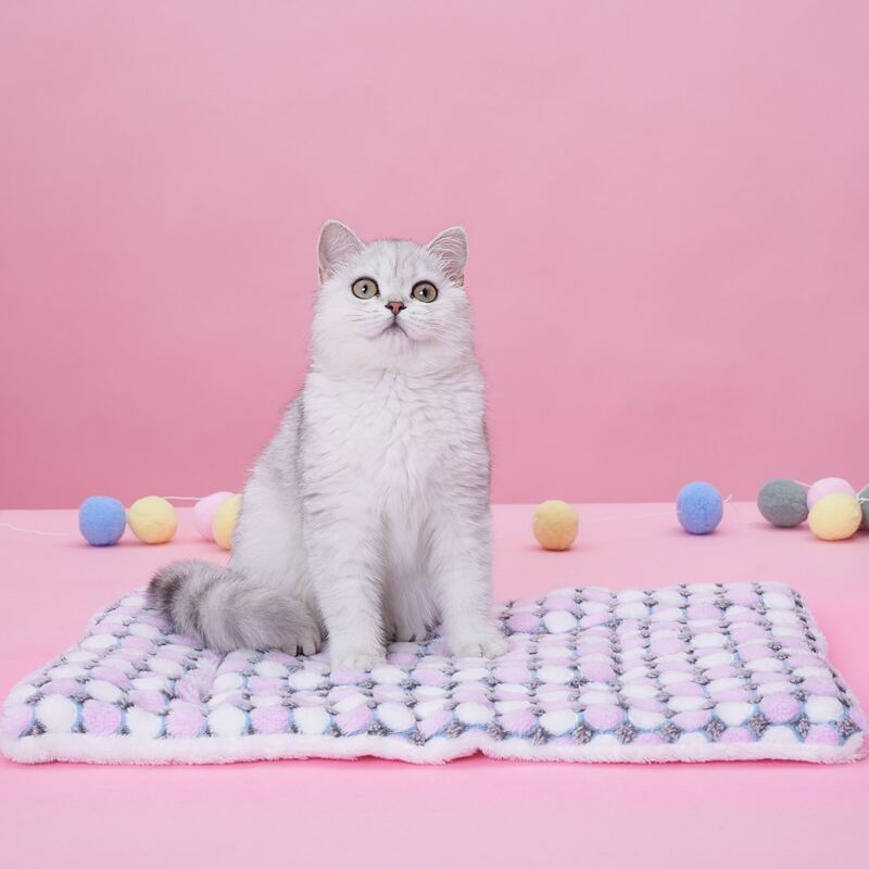 

Polka Dot Pet Mat, Multicolor