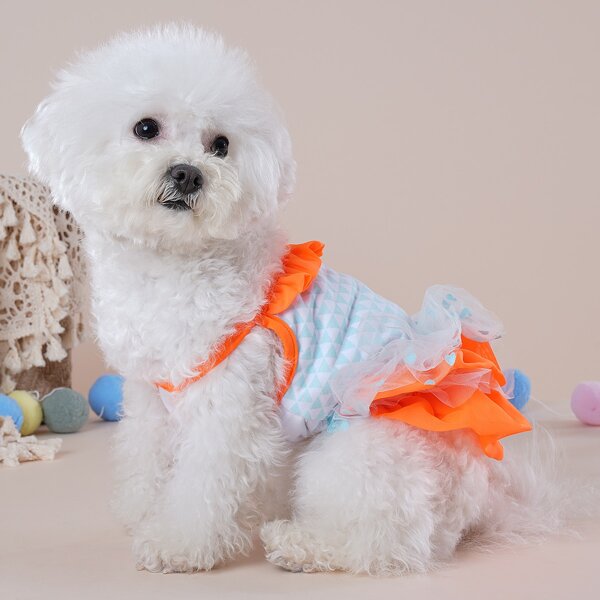 

Geometric Pattern Ruffle Decor Pet Dress, Multicolor