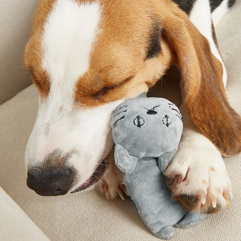 

1pc Cartoon Design Pet Sound Toy, Grey