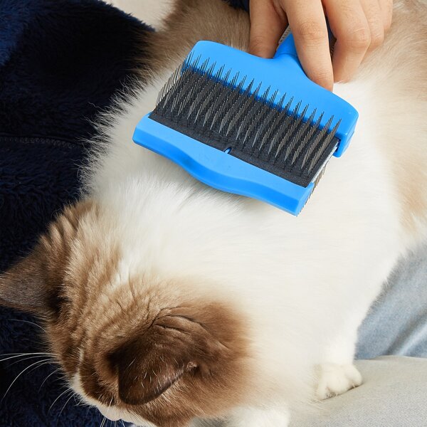 

1pc Double Sided Pet Hair Brush, Blue