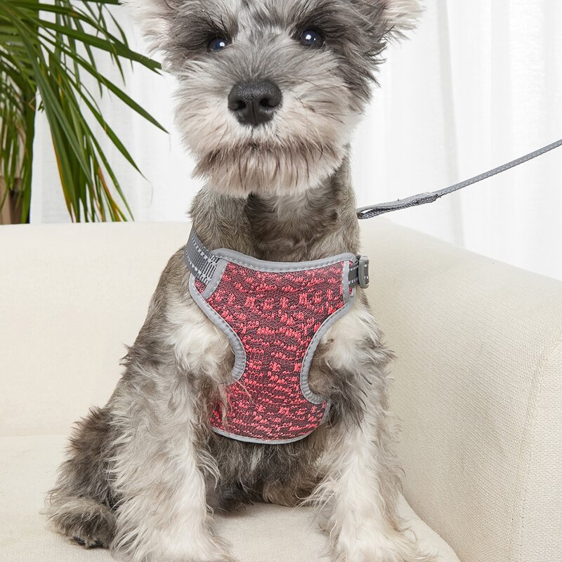 

1pc Reflective Pet Harness & 1pc Pet Leash, Pink