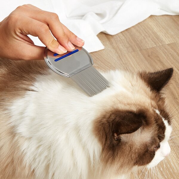 

1pc Stainless Steel Pet Hair Comb, Multicolor