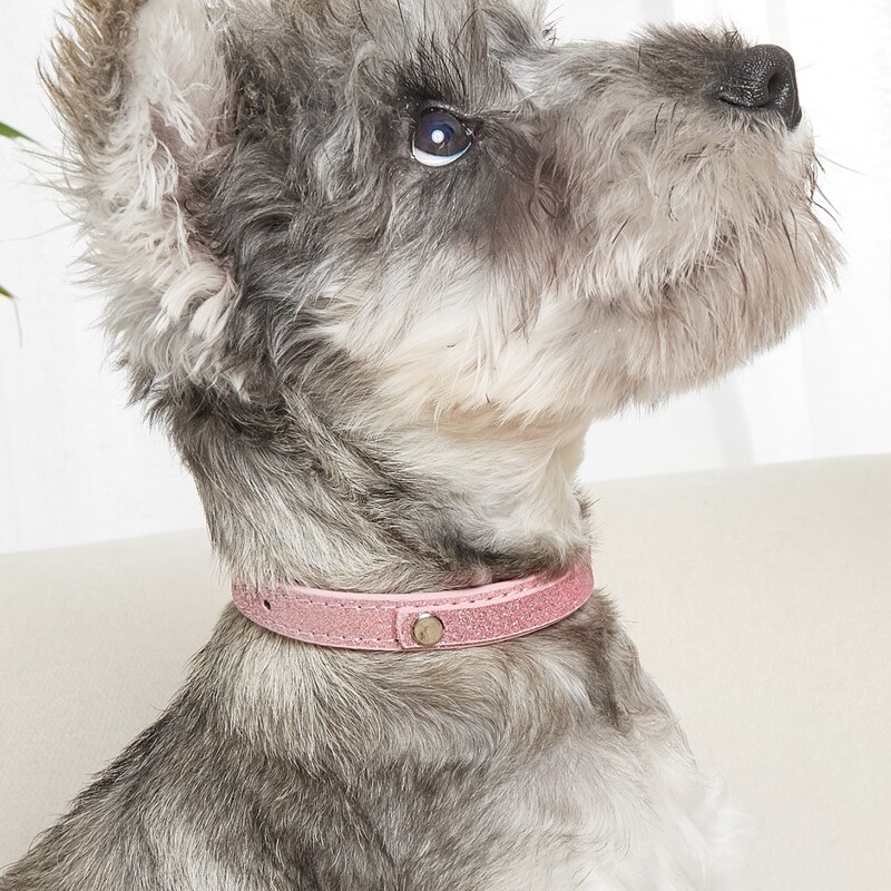 

Metal Buckle Pet Collar, Pink