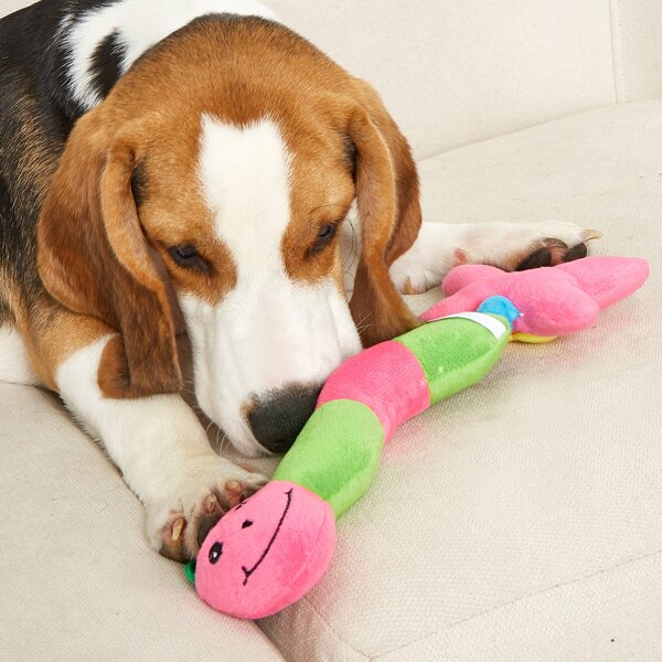 

1pc Color Block Cartoon Design Pet Sound Toy, Multicolor