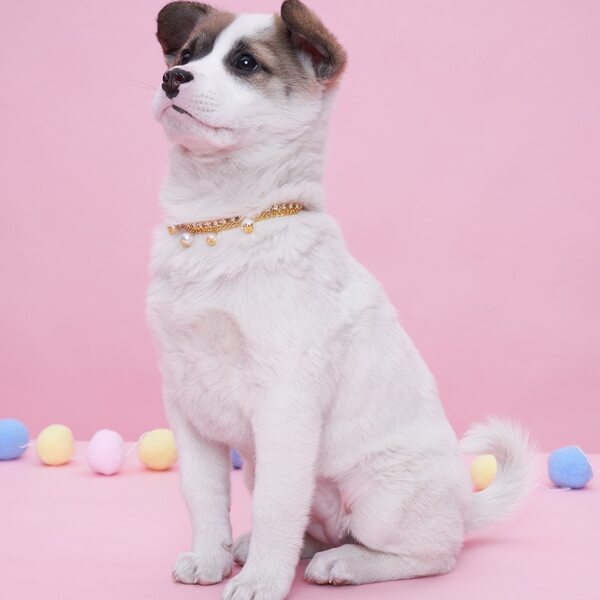

Faux Pearl & Rhinestone Decor Pet Necklace, Gold
