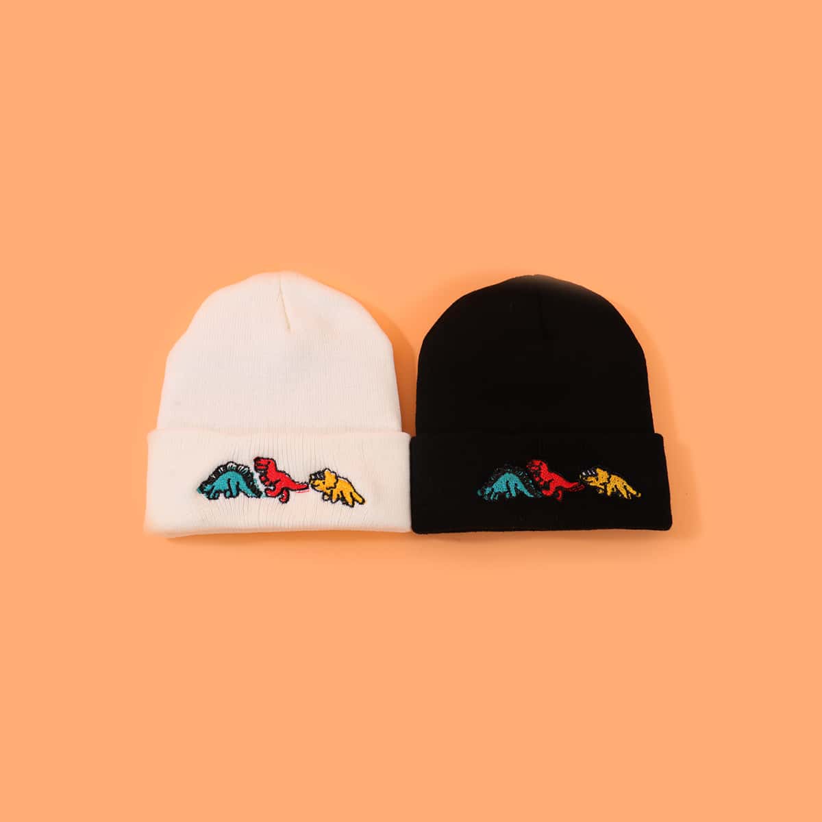 

Guys 2pcs Dinosaur Embroidery Beanie, Multicolor