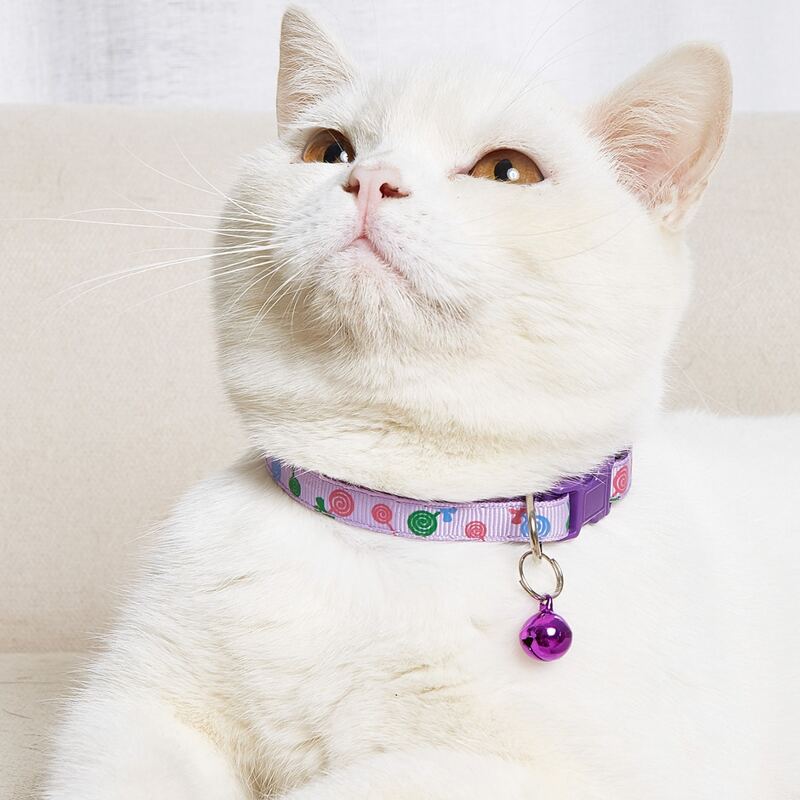 

Bell Charm Lollipop Pattern Pet Collar, Purple