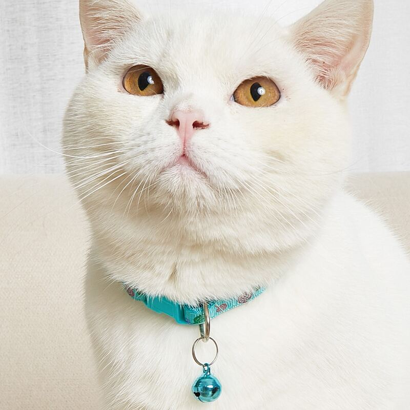 

Bell Charm Lollipop Pattern Pet Collar, Mint green