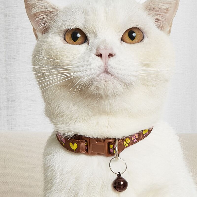 

Bell Charm Mushroom Pattern Pet Collar, Brown