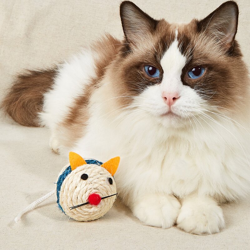 

Cat Cartoon Sisal Toy, Multicolor