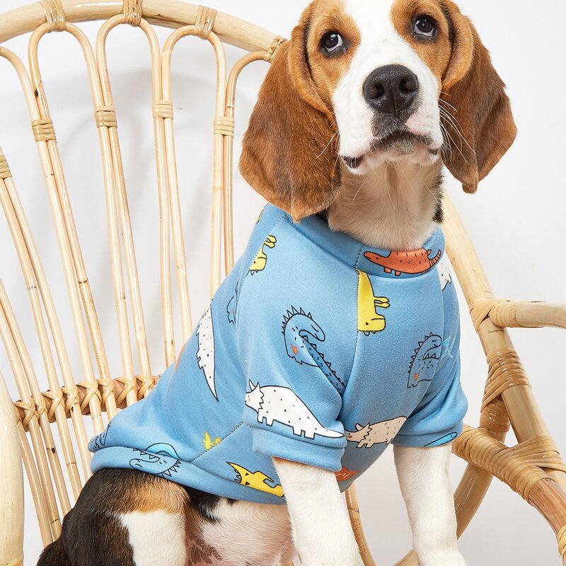 

Cartoon Graphic Pet Sweatshirt, Blue
