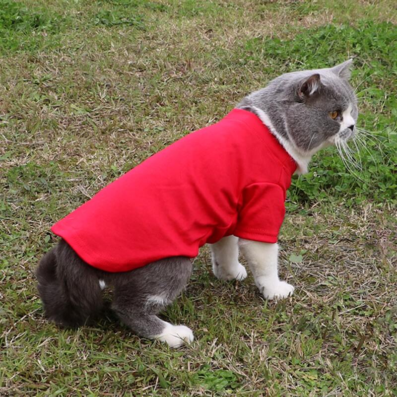 

Solid Color Pet Top, Red