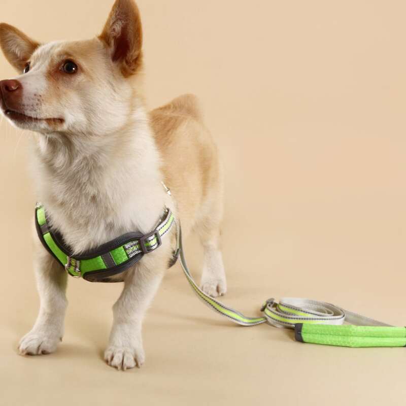 

1pc Adjustable Pet Leash & 1pc Harness, Green