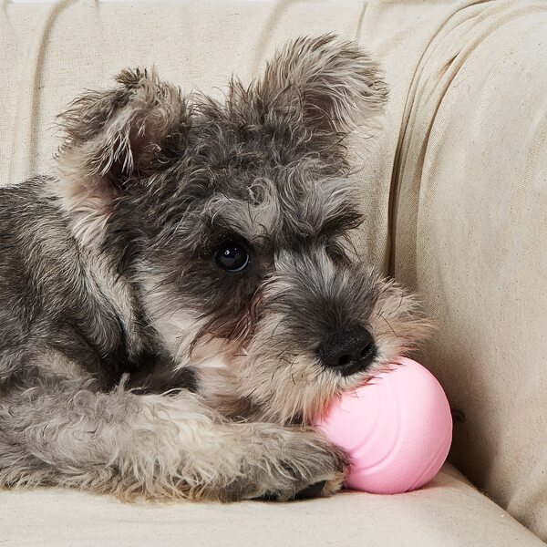 

Ball Shaped Pet Chew Toy, Baby pink
