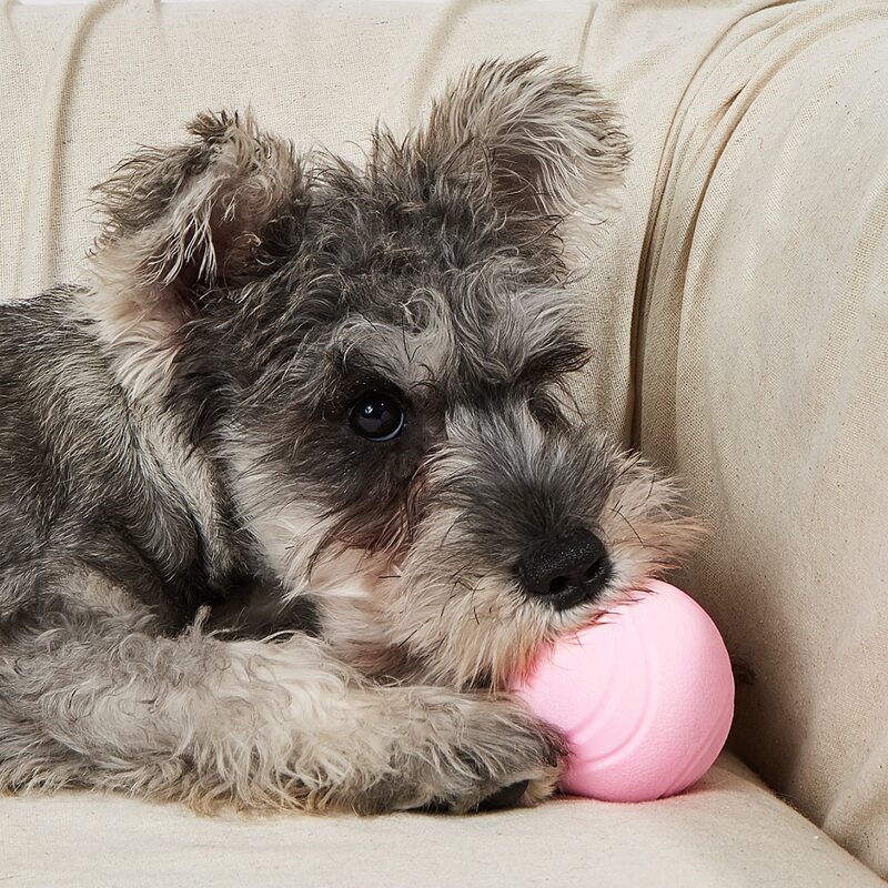 

Ball Shaped Pet Chew Toy, Baby pink