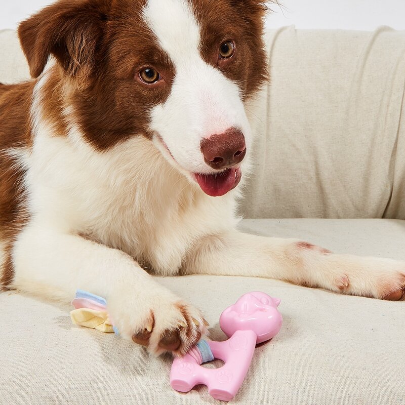 

1pc Braided Rope Decor Squirrel Shaped Pet Sound Toy, Pink
