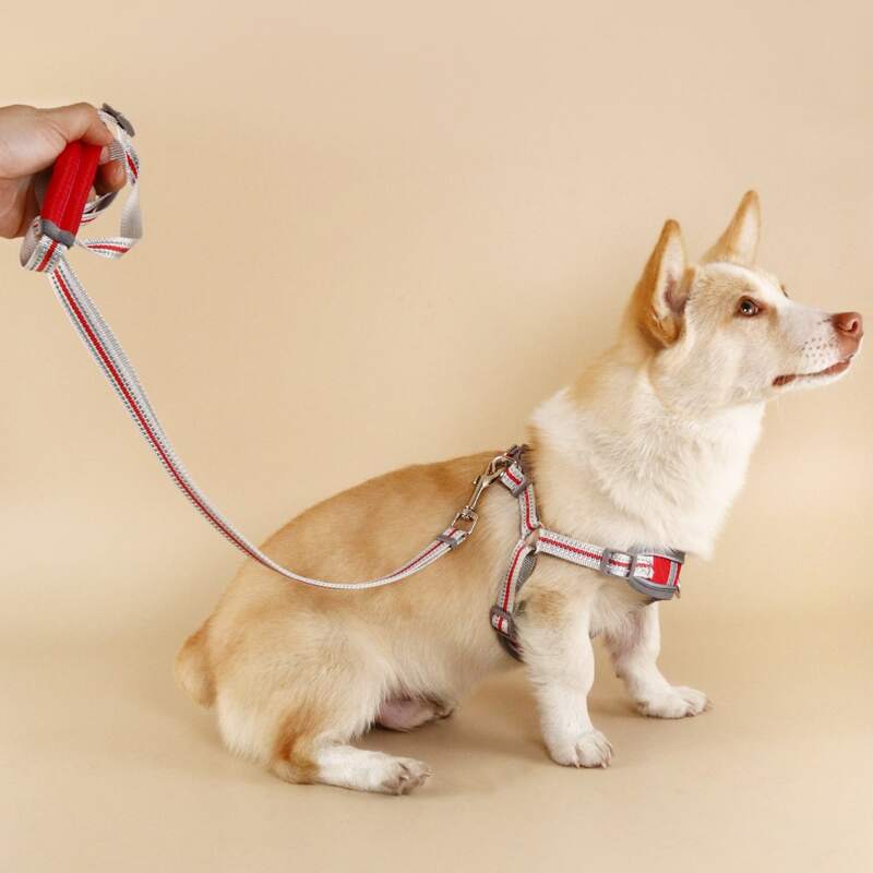

1pc Adjustable Pet Leash & 1pc Harness, Red