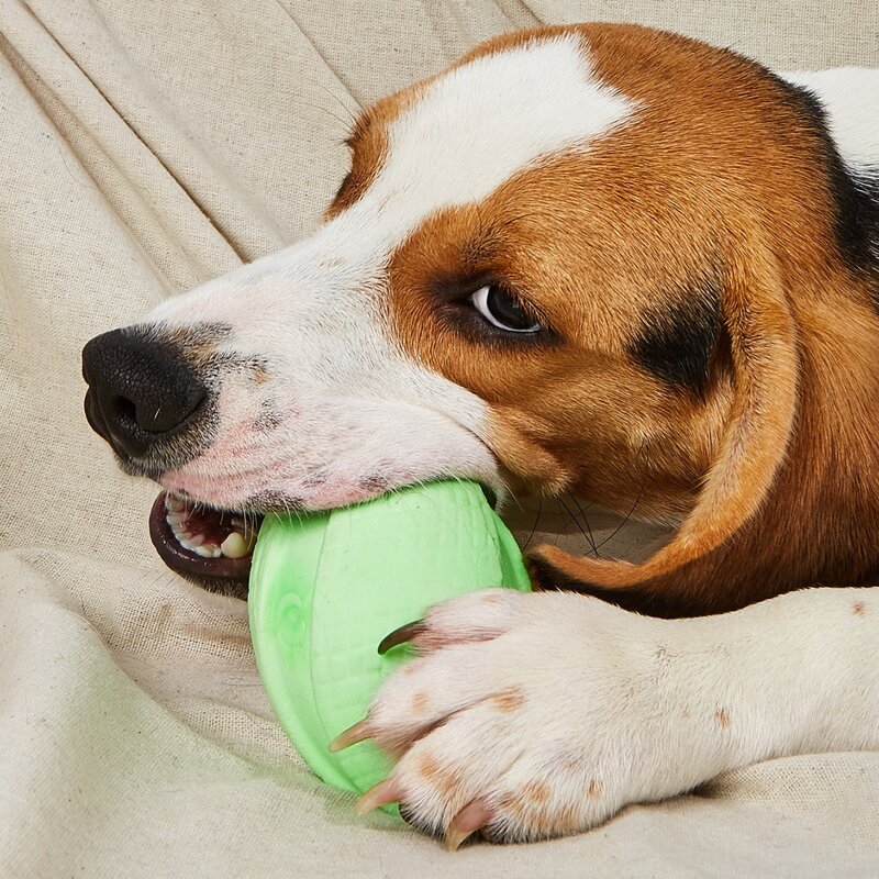 

Rugby Shaped Pet Chew Toy, Green