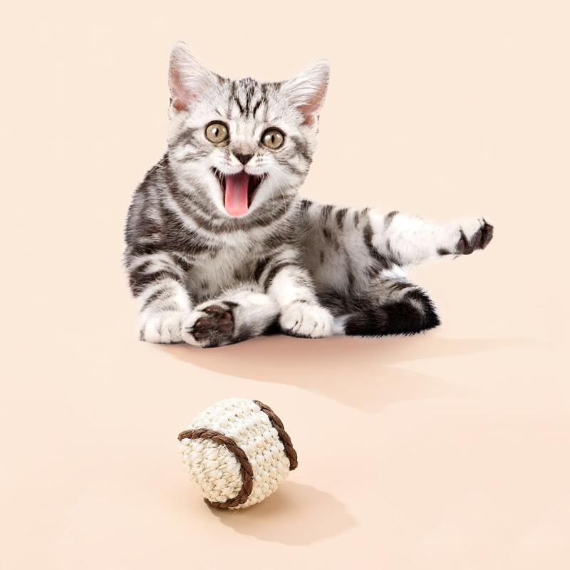 

Ball Shaped Pet Sound Toy, Multicolor