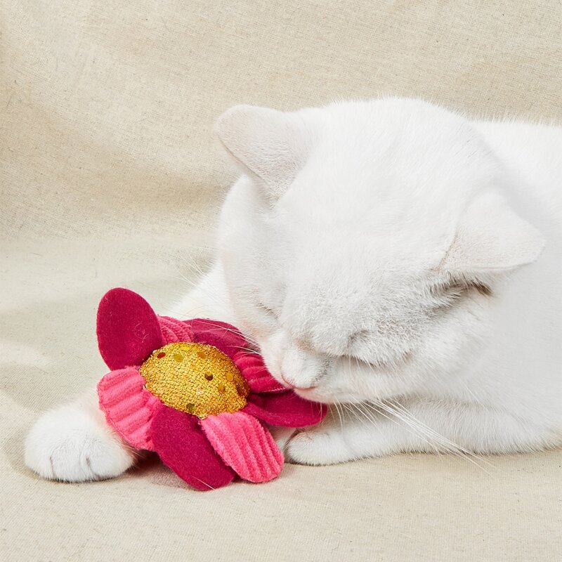 

Pet Flower Shaped Chew Toy, Hot pink