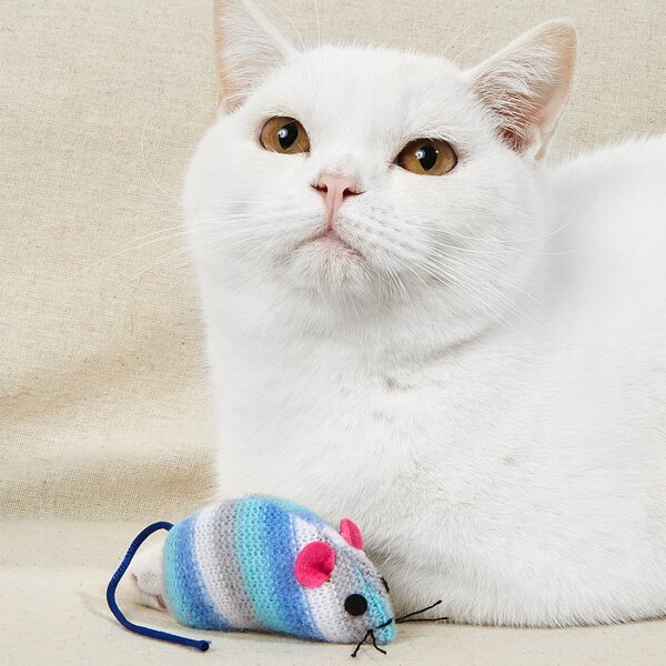 

Pet Mouse Shaped Chew Toy, Multicolor