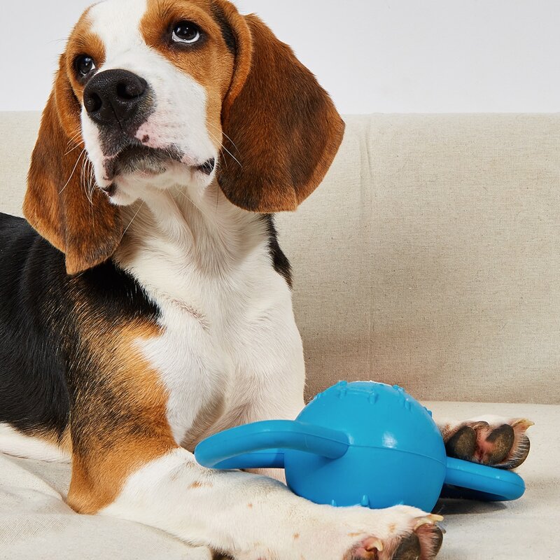 

Ball Design Pet Sound Toy, Blue