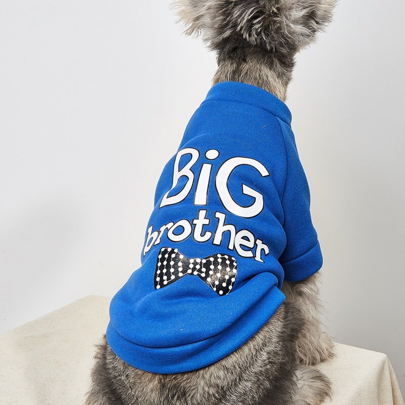 

Letter Graphic Pet Sweatshirt, Blue