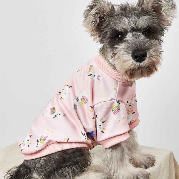 

Cartoon Graphic Pet Coat, Coral pink