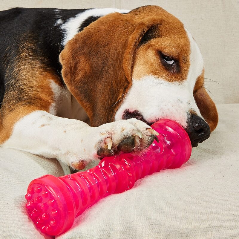 

Stick Design Pet Sound Toy, Hot pink