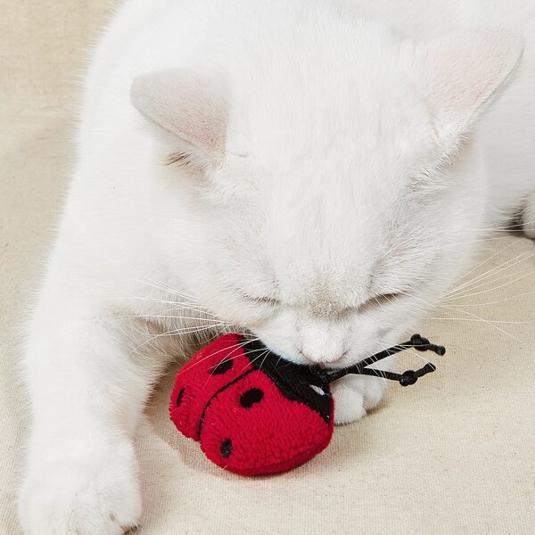 

Ladybug Shaped Pet Chew Toy, Red