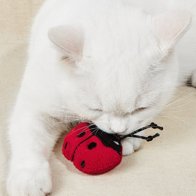 

Ladybug Shaped Pet Chew Toy, Red