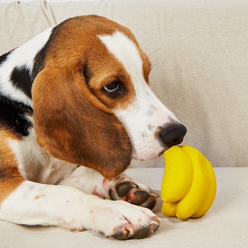 

Banana Shaped Pet Sound Toy, Yellow
