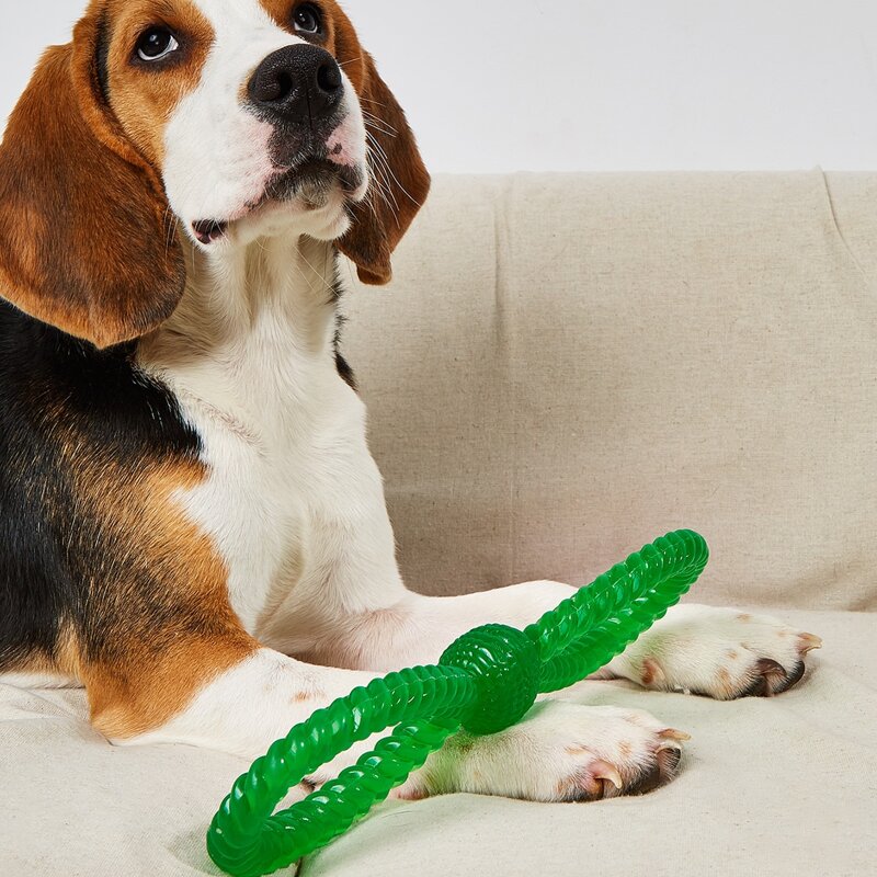 

Bow Shaped Pet Chew Toy, Green