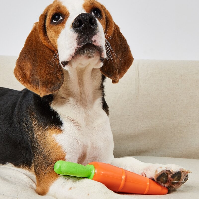 

Carrot Shaped Pet Sound Toy, Orange