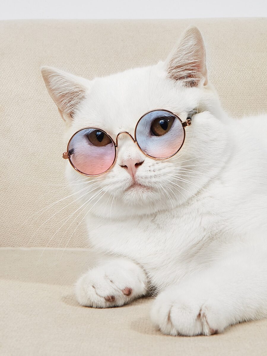 1副圓形鏡片寵物眼鏡 - 淺粉色 - 查看 1