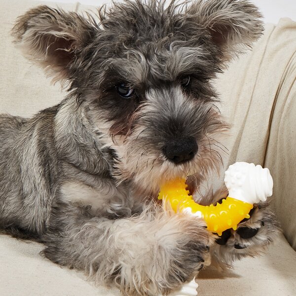 

Bone Shaped Pet Chew Toy, Yellow