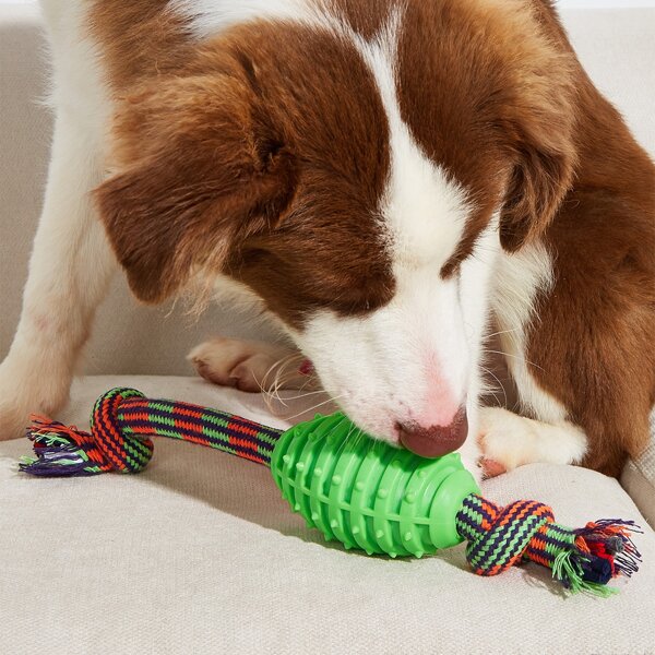 

Braided Rope Decor Ball Pet Chew Toy, Green
