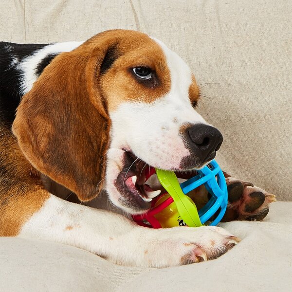 

1pc Bell Ball Pet Sound Toy, Multicolor