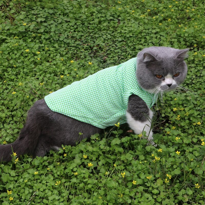 

Checkered Pet Tank, Green