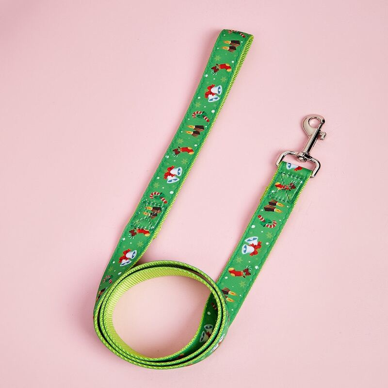

Candy Cane Pattern Pet Leash, Green