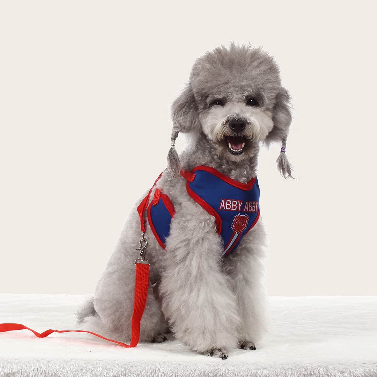

1pc Letter Graphic Pet Harness & 1pc Pet Leash, Multicolor