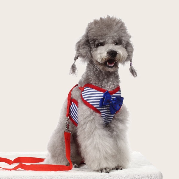 

1pc Bow Decor Striped Pet Harness & 1pc Pet Leash, Multicolor
