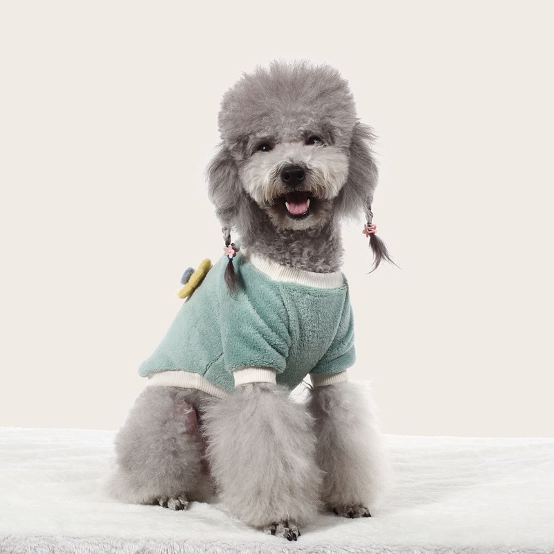

Flower Decor Plush Pet Sweatshirt, Green