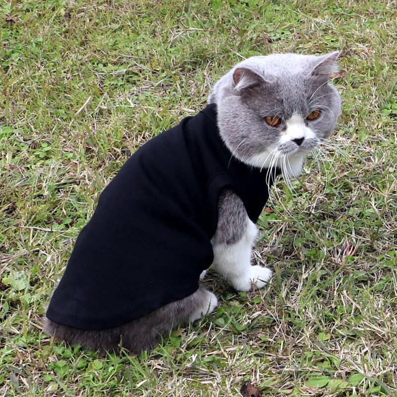 Solid Pet Tank, Black