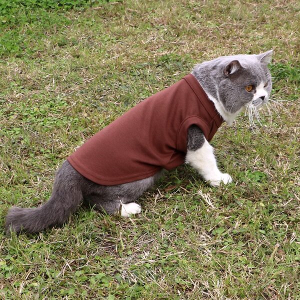 

Solid Pet Tank, Brown