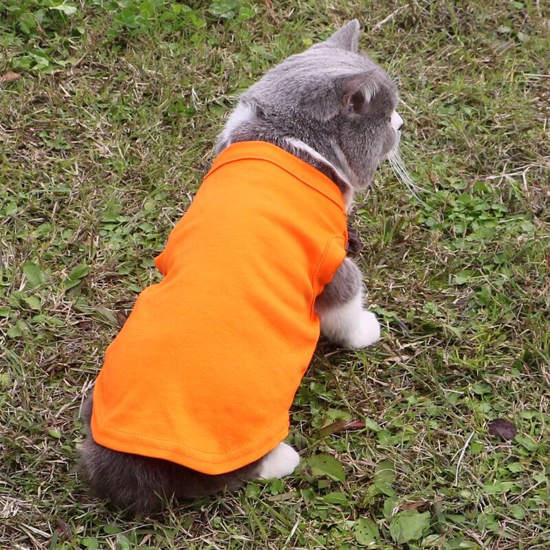 

Solid Pet Tank, Orange